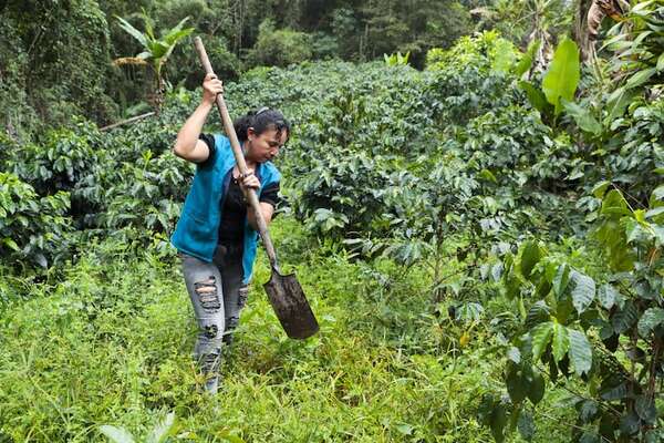 Naciones Unidas sitúa a la mujer rural en el centro de la lucha contra la sequía - Mundo - ABC Color