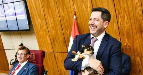 La Nación / Diputados aprobó proyecto de ley de aumento de penas por maltrato animal