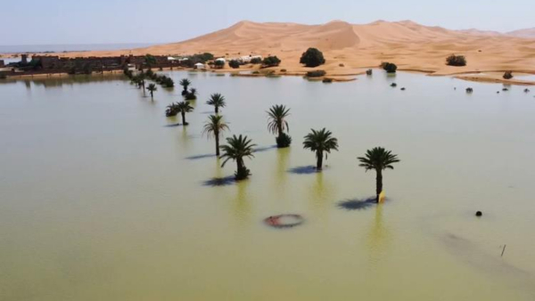 EL DESIERTO DEL SAHARA SE INUNDÓ POR PRIMERA VEZ EN 50 AÑOS: LAS IMPACTANTES IMÁGENES - Itapúa Noticias