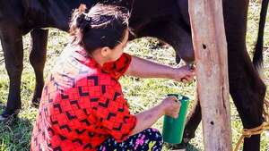Día Internacional de la Mujer Rural: gremio destaca el papel de productora de alimentos  - Economía - ABC Color