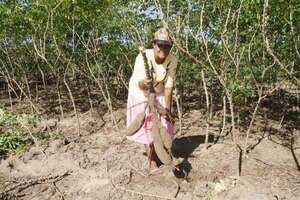 Día Internacional de las Mujeres Rurales: “Cada vez sentimos más el abandono del Estado paraguayo” - Nacionales - ABC Color