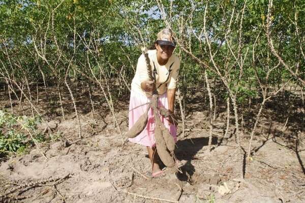 Día Internacional de las Mujeres Rurales: “Cada vez sentimos más el abandono del Estado paraguayo” - Nacionales - ABC Color