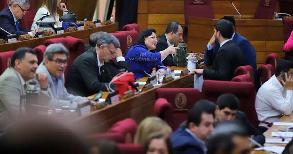 La Nación / Diputados rechazó proyecto que pretendía salvar el “Bosque San Vicente”