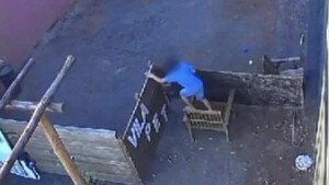 Niño de 9 años irrumpe en veterinaria y mata a 23 animales en Brasil
