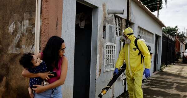 Diario HOY | El virus del Oropouche presente en Brasil podría ser una nueva variante