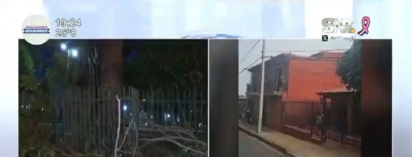 Árbol aplastó una vivienda y un vehículo - SNT