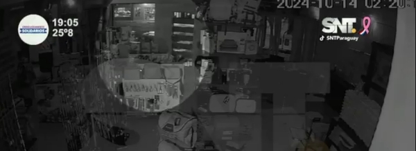 Mega robo a un local de armas en Alto Paraná - SNT