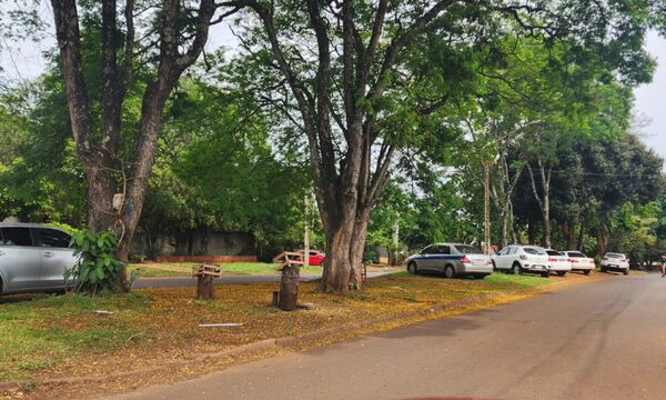 Paseo central se convirtió en estacionamiento improvisado y concejal pidió mayor control