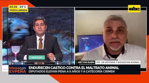 Endurecen ley contra el maltrato animal: “con la ley actual nadie va a la cárcel” - Mesa de Periodistas - ABC Color