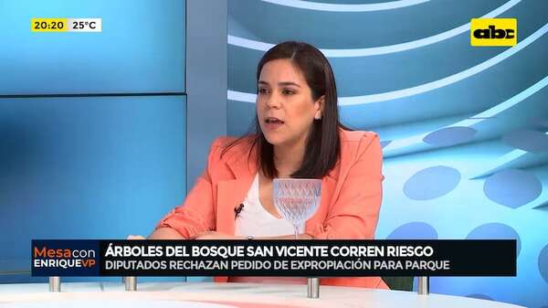 Bosque San Vicente: las empresas y los espacios verdes pueden coexistir, según diputada - Mesa de Periodistas - ABC Color