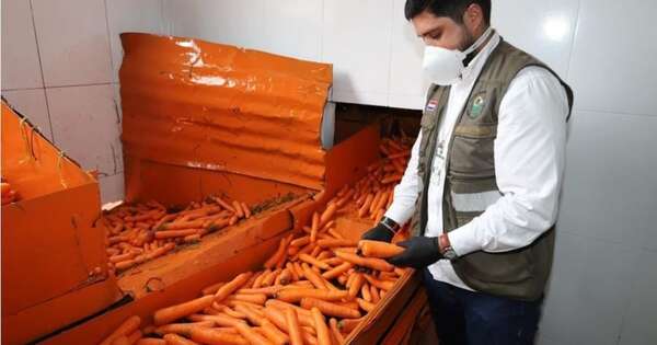 La Nación / Partió ayer la primera exportación de zanahoria rumbo a la Argentina