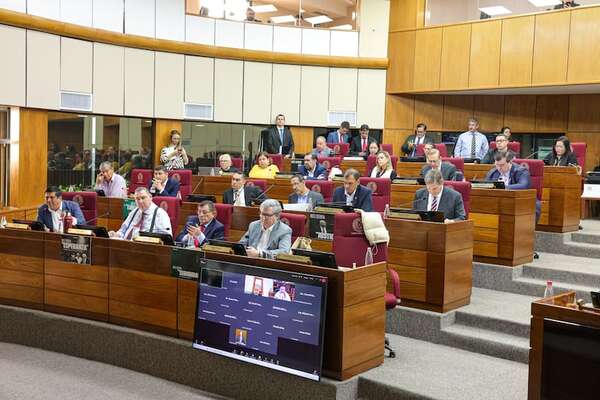 Senado dictamina aprobar con modificaciones del Registro Unificado Nacional - Política - ABC Color