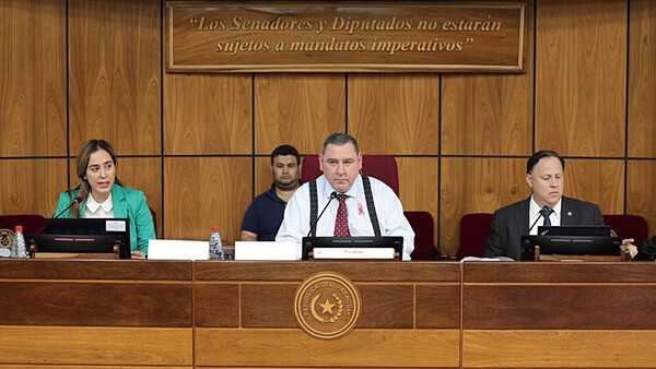Senado dará media sanción a ley que da más poder a la Contraloría