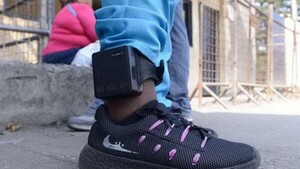 Riera asegura que para fin de año ya se estarán usando las tobilleras
