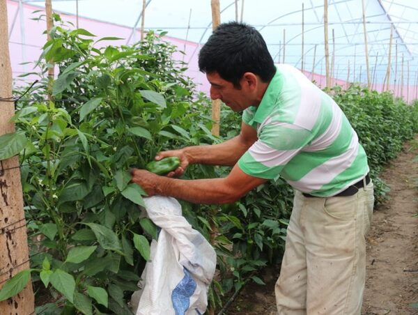 Horticultores se movilizarán frente al MAG en Itá · Radio Monumental 1080 AM