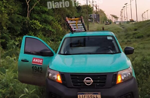 Ande realiza mantenimiento de línea de Media Tensión entre Santa Rita, Naranjal y Caazapá – Diario TNPRESS