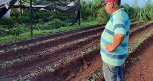 Diario HOY | Productor de Itapúa sufre pérdidas millonarias tras temporal