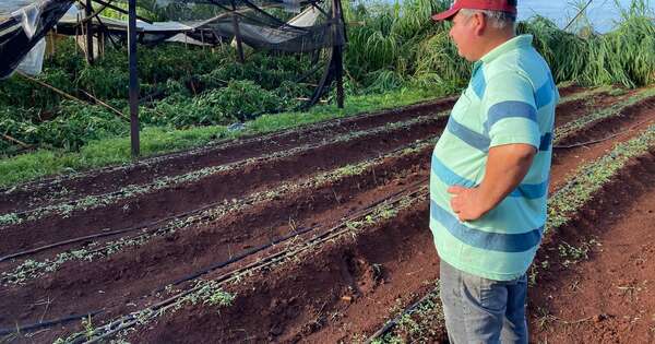 Diario HOY | Productor de Itapúa sufre pérdidas millonarias tras temporal