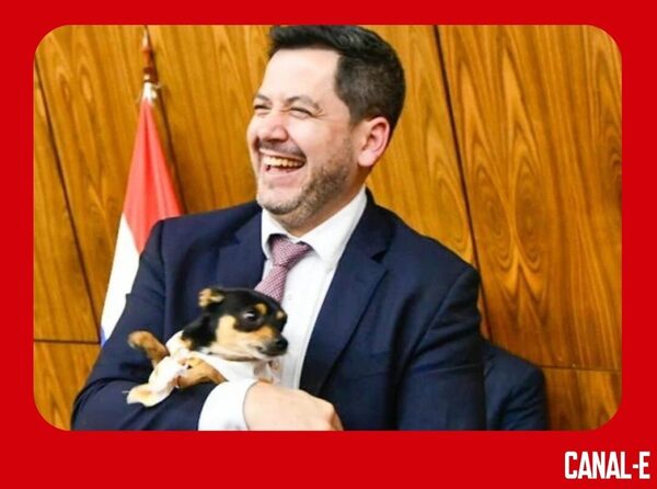6 AÑOS DE CÁRCEL PARA EL MALTRATADOR DE ANIMALES