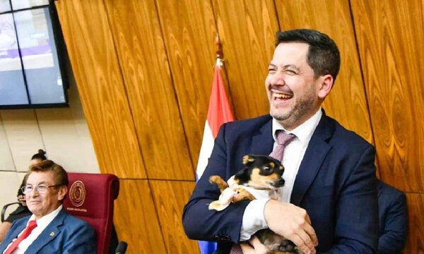 Sancionan aumento de penas de hasta 6 años de cárcel por maltrato animal – Prensa 5