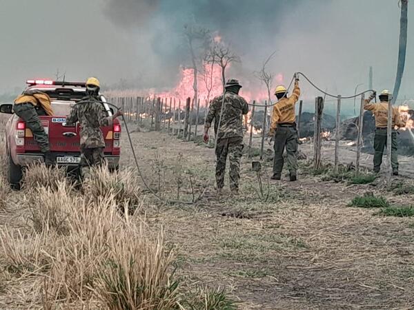 Incendios forestales: Primer imputado por daño ambiental - Judiciales.net