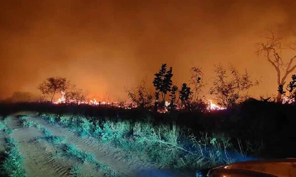Fiscalía imputa a estanciero por incendio forestal que azotó la reserva Chovoreca – Prensa 5