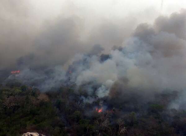 Incendio en Chovoreca: imputan a propietario de estancia por supuestos delitos ambientales - Noticias del Chaco - ABC Color