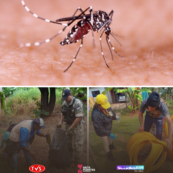 ENCARNACIÓN: INICIAN MINGA AMBIENTAL EN BARRIOS CON ALTOS ÍNDICES DE DENGUE - TVS