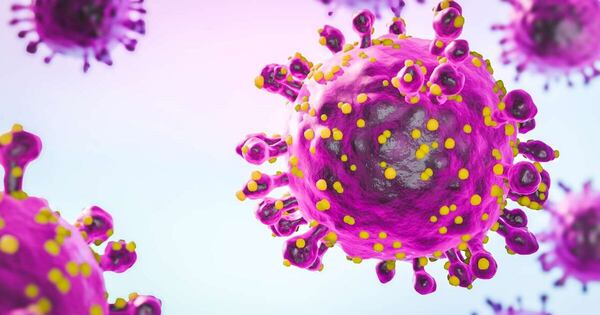 La Nación / Epidemia de fiebre del Oropouche en Brasil sería por una nueva variante