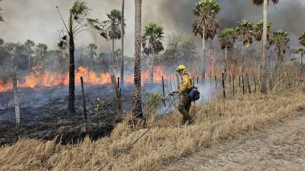 Propietario de una estancia fue imputado por incendio en la reserva Chovoreca
