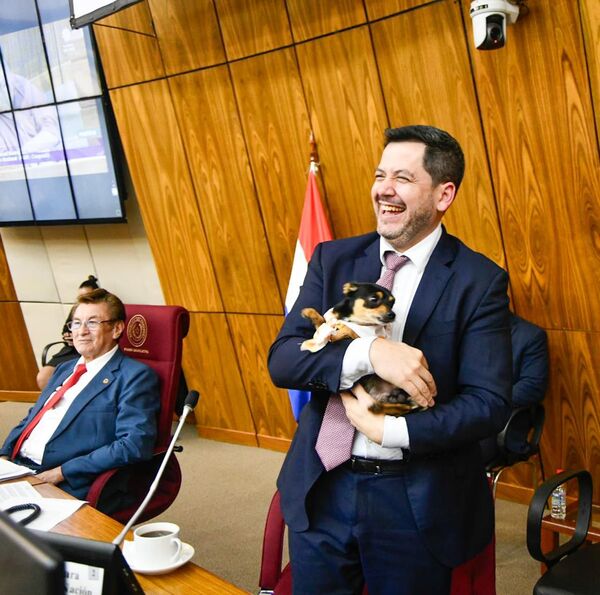 Maltrato animal: aprueban proyecto que eleva a 6 años la pena carcelaria - trece