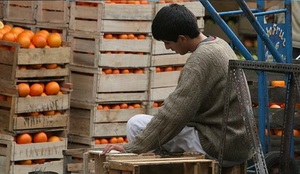 El trabajo infantil está prohibido y el de adolescente debe ser en condiciones protegidas