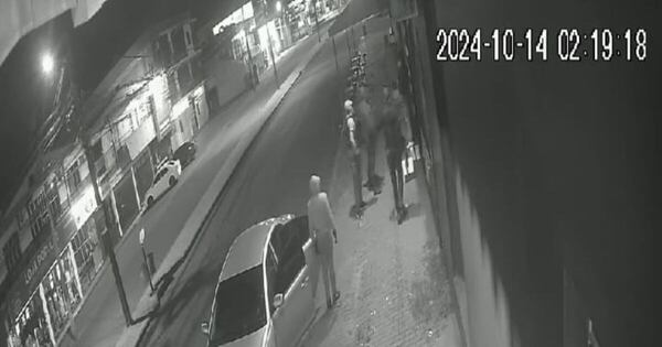 La Nación / Santa Rita: atracaron local para robar armas, pero solo llevaron réplicas