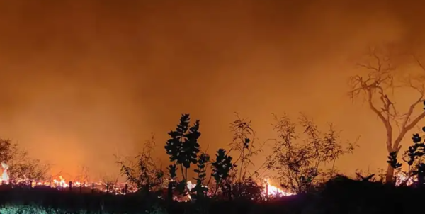 Imputan a estanciero por provocar incendio forestal que devastó reserva Chovoreca
