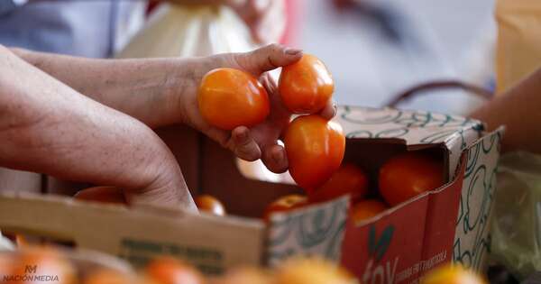 Diario HOY | Preparan feria simultánea de tomate en la explanada de Nación Media y otros tres locales