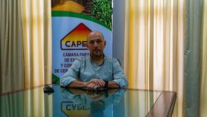 Campaña triguera presenta buen desempeño