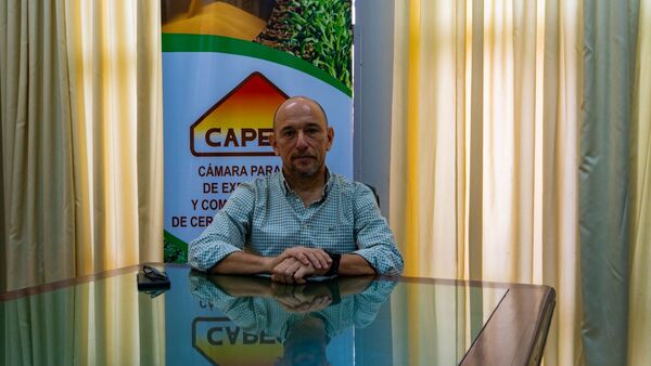 Campaña triguera presenta buen desempeño