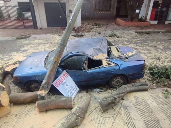 Asunción: árbol de una plaza cayó y destrozó un auto y una casa pese a advertencia de vecinos - Nacionales - ABC Color