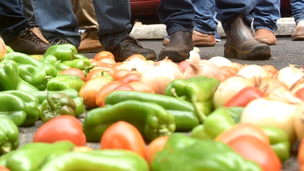 El reclamo de los productores de tomate y locote