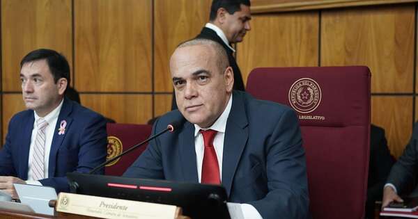 La Nación / Veto parcial al fomento del etanol, demuestra que las instituciones funcionan, dijo Núñez