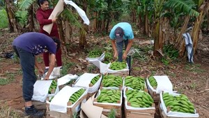 Preparan a agricultores para proveer al Programa Hambre Cero