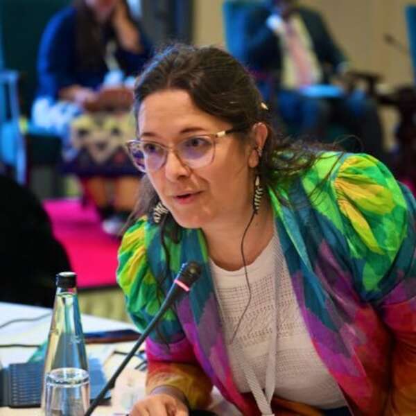 Relatora de la ONU criticó ley anti-ONG y le envió una carta a Peña - Política - ABC Color