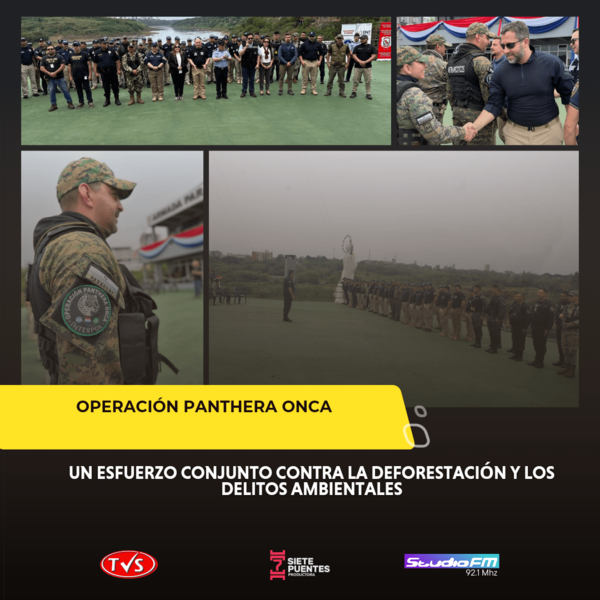 Operación Panthera Onca: Un esfuerzo conjunto contra la deforestación y los delitos ambientales - TVS