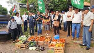 Horticultores afirman que sus productos se pudren en la chacra - Nacionales - ABC Color