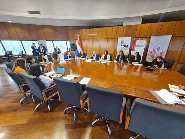 Comisionado de ONU alerta ante los ataques contra las ONG - Política - ABC Color