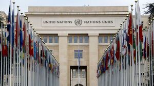 Relatora de ONU alerta a Peña por sanciones excesivas a ONG