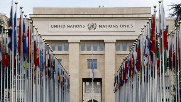 Relatora de ONU alerta a Peña por sanciones excesivas a ONG