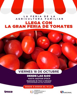 Productores ofertarán tomate este viernes en canal Trece - trece