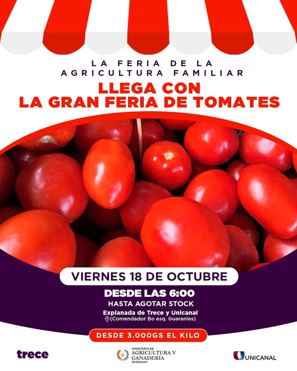 Productores ofertarán tomate este viernes en canal Trece - trece