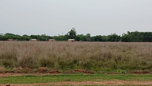 Asociación de beneficiarios de un campo pastoreo de San José, denuncian invasión de personas en el campo comunal - Noticiero Paraguay
